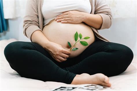 Une Femme Enceinte Tient Une Plante De Pousse Verte Pr S De Son Ventre