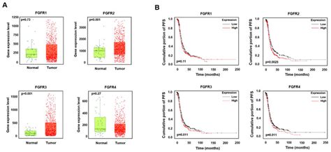 High Expression Of Fgfr And Fgfr Is Associated With Low Survival In