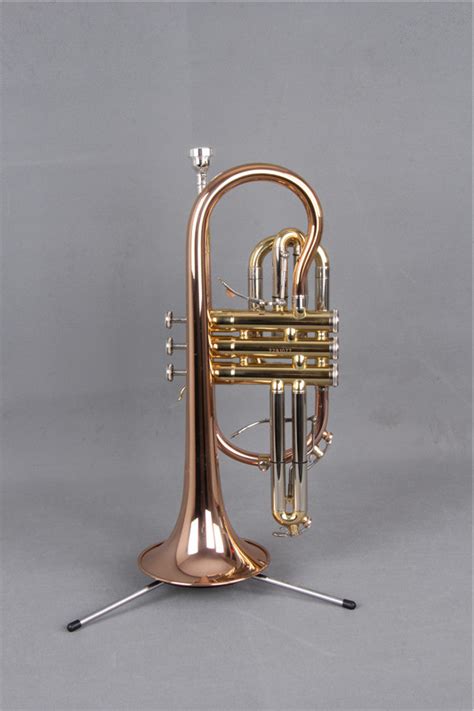 High Grade Cornet (CO-655L) / Brass Instrument Cornet - China Cornet ...