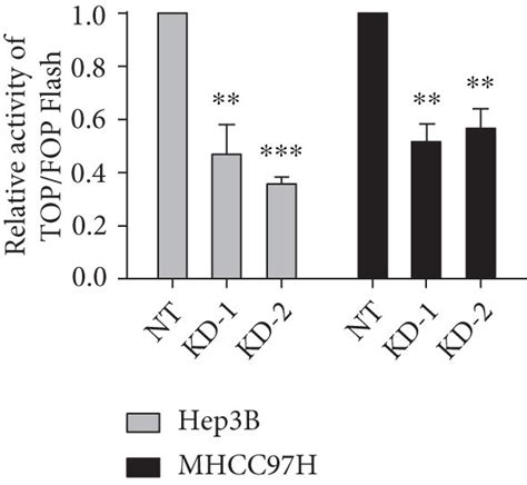 Linc02273 Knockdown Led To Decreased Nuclear β Catenin Accumulation And