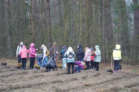 Galeria Wyjątkowy projekt sadzenia lasu Rozwój lokalnego ekosystemu