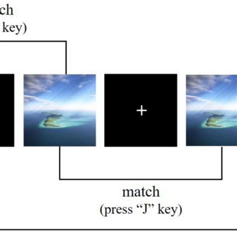 Schematic Representation Of Stimulus Sequence In Experiment 1