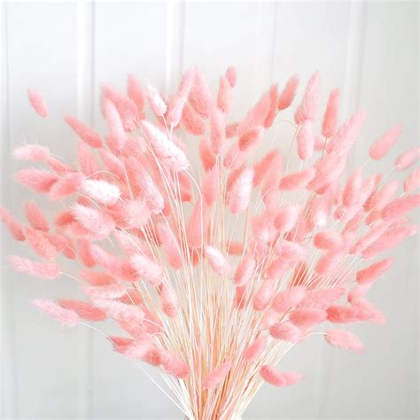 Julan 50pcs Home Decoration Lagurus Ovatus Rabbit Tail Dried Flowers Real Flower