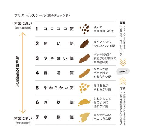 腸からのお便り、うんちチェックの仕方 【腸活のオーソリティ鈴木啓太×りんたろー。対談】便は自分でチェックできる腸からの“通信簿”！【連載84回