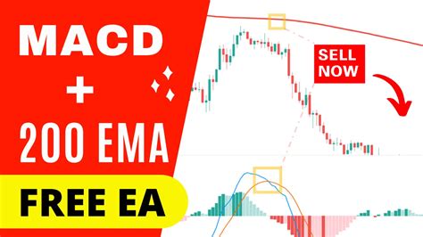 Macd 200 Ema Trading Strategy Tested With An Expert Advisor Trading