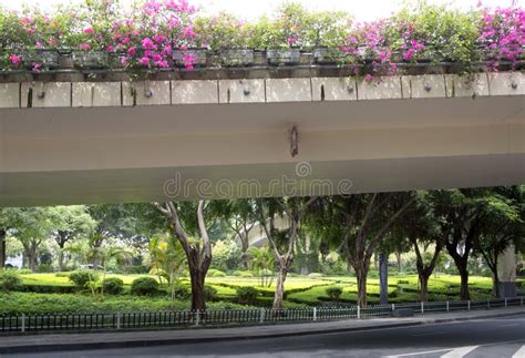 Plants Under Viaduct Stock Photos - Free & Royalty-Free Stock Photos from Dreamstime