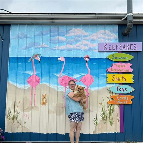 Caseville mi tourism rates are hitting record highs this summer 11