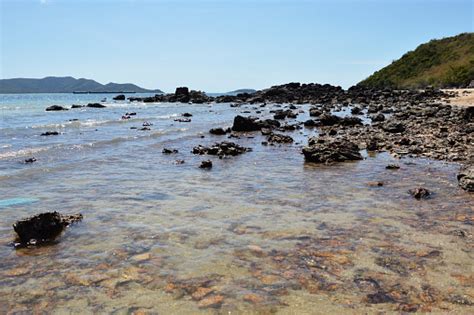 cargo ship  beach stock photo  image  horizontal