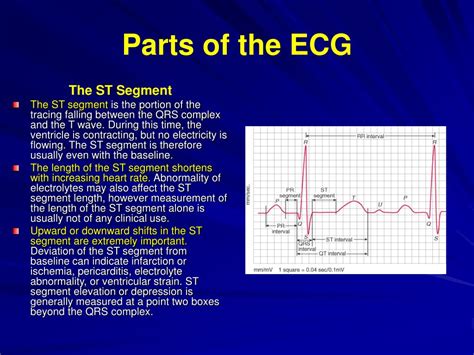 Ppt Electrocardiogram Ecg Part Made For Understanding Powerpoint ...