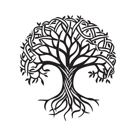 Celtic Tree Of Life Celtic Tree Clipart Celtic Knot Tree Vector