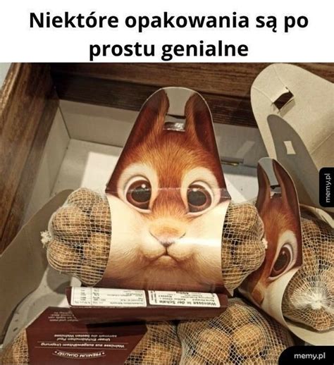 Najlepszy Tekst Na Podryw Memy Pl