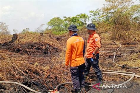 BPBD Aceh Barat Padamkan Kebakaran Lahan Di Areal Seluas 6 Hektare