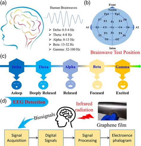 A Schematic Diagrams Of Eeg Detection Of Human Brainwaves B Human