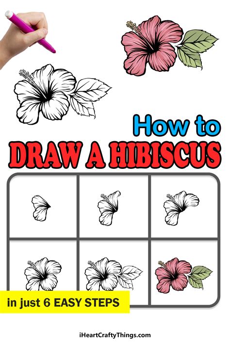 Draw A Hibiscus Flower And Label Its Parts Best Flower Site