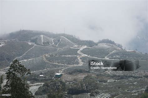 Sapa Town Covered In Snow Stock Photo Download Image Now Asia