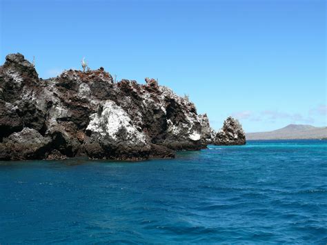 Pinzon Island Full Day Tour With Snorkeling Fishing And La Fe Excursion