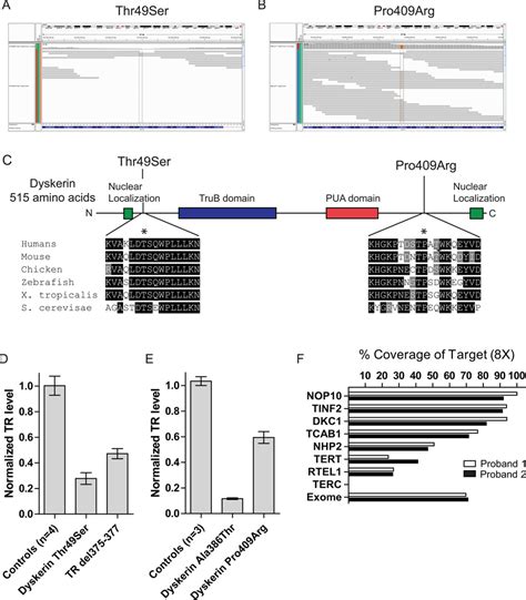 Telomere Phenotypes In Females With Heterozygous Mutations In The