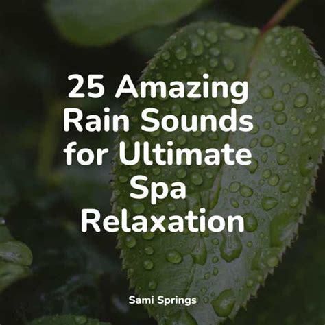 25 Amazing Rain Sounds For Ultimate Spa Relaxation By Rain Recorders