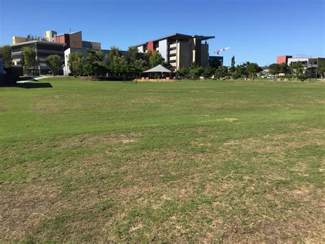 USQ Springfield this morning #lawnporn : r/brisbane