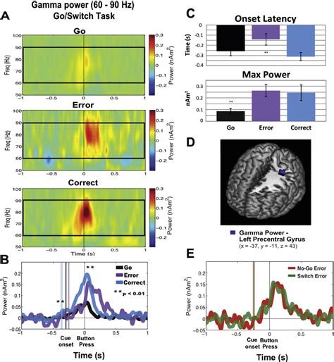 Figure From Complementary Roles Of Cortical Oscillations In Automatic