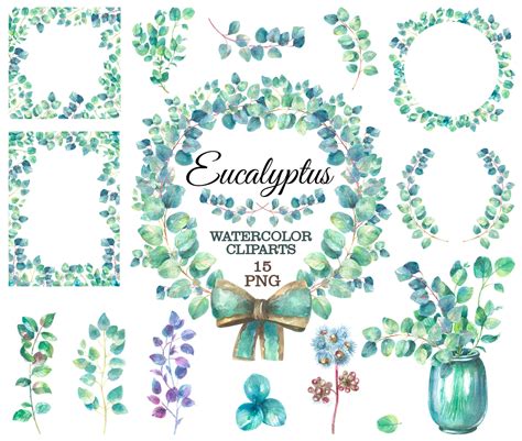 Eucalyptus Watercolor Clipart Eucalyptus Leaves Png Eucalyptus Wreath