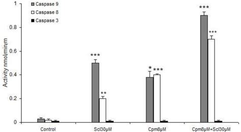 STAT3 Mediated Apoptotic Enhancing Function Of Sclareol Against Breast