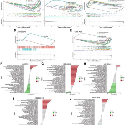 Functional Enrichment Analysis Of Hub Lncrnas Gsea Analysis Of Lncrnas Download Scientific