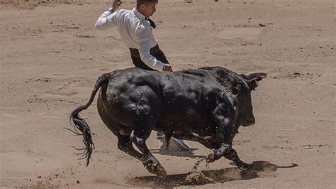 VIDEO Hombre Muere Tras Ser Embestido Por Un Toro Durante Una Fiesta