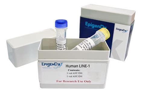 Dna Methylation Analysis Epigenetics Epigendx