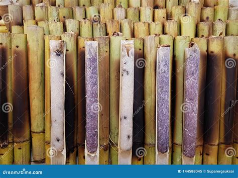 Traditional Thai Sweetened Sticky Rice in Bamboo Sticks Stock Image ...