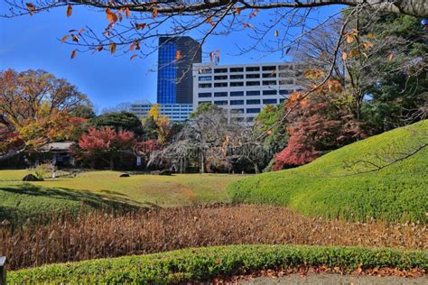 Hasuike Pond In Koishikawa Korakuen Garden Nov Editorial