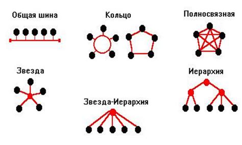 Топология сети шина кратко