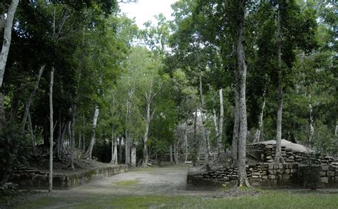 Sitio Arqueol Gico De Calakmul En La Ruta Del Tren Maya