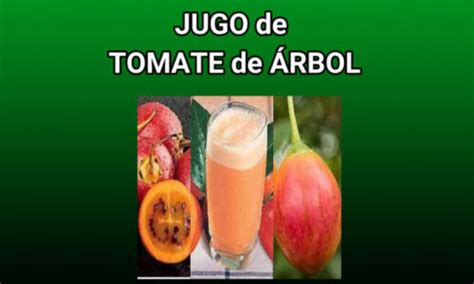 Jugo De Tomate De Árbol ¡beneficios Y Cómo Prepararlo