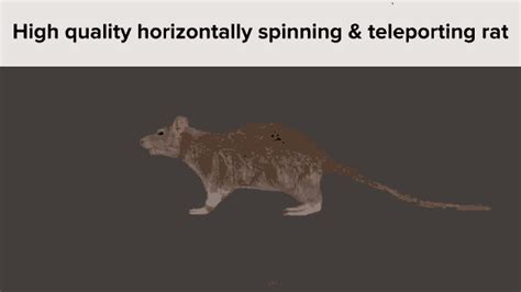 High Quality Horizontally Spinning & Teleporting Rat | Horizontally ...