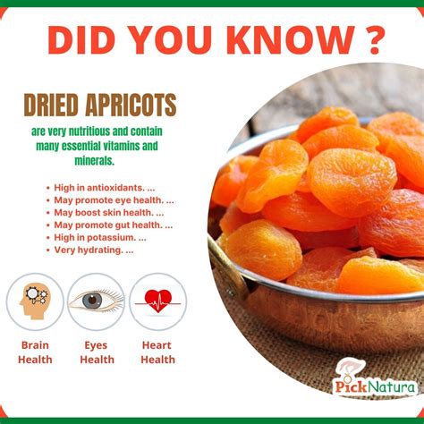 Dried Apricot Benefits Artofit