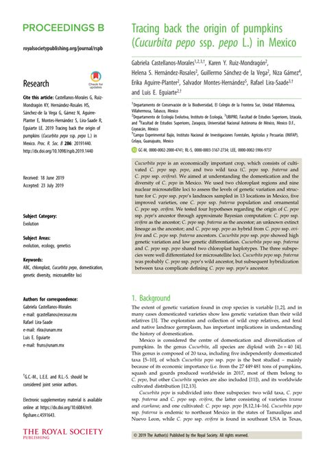 (PDF) Tracing back the origin of pumpkins (Cucurbita pepo ssp. pepo L ...