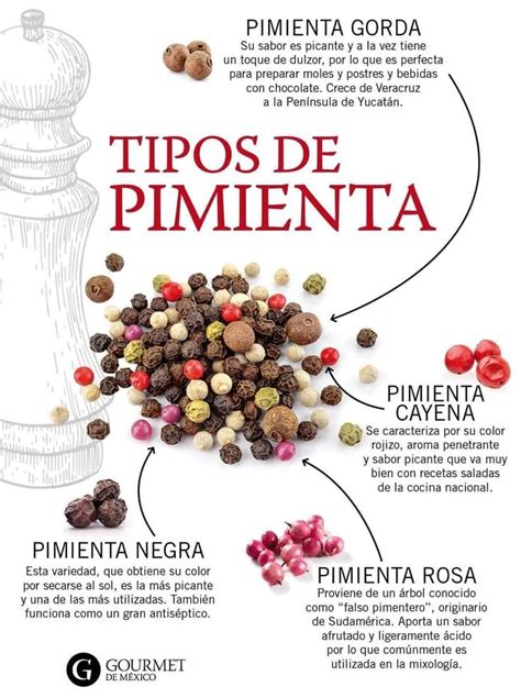 La Pimienta Es Uno De Los Primeros Pasos De Cualquier Buen Sabor Y Uno