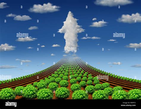 Augmentation De Lagriculture Et Une Agriculture Performante Ou La