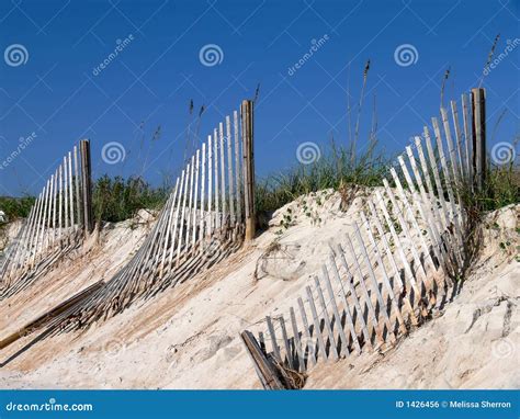 Beach Fences And Sand Dunes Stock Photo Image Of Plants Dune 1426456