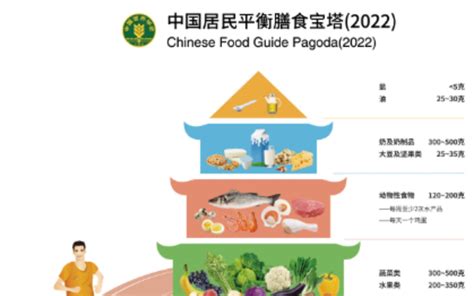 中国居民膳食指南2022版解读哔哩哔哩bilibili