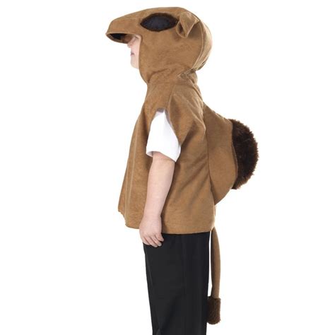 Camel Costume Idea Will Need Three Nativity Costumes Kids Dress Up