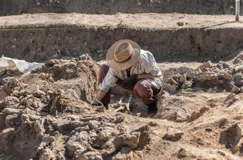 What Archaeology Is And How To Become An Archaeologist