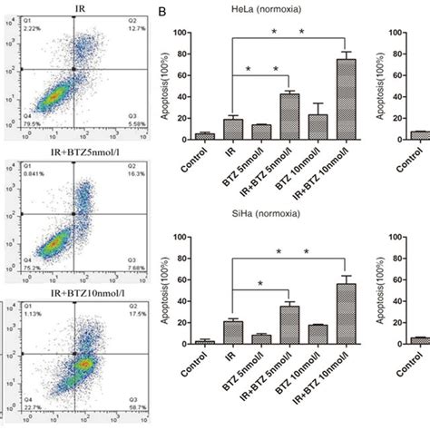 Bortezomib Promotes Radiation Induced Apoptosis Of Both Normoxic And