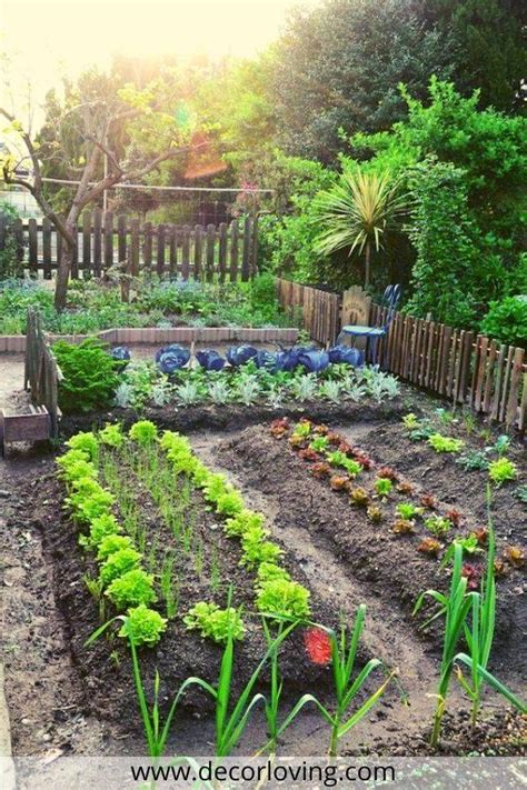 22 Elegant Vegetable Garden Ideas You Should Check Sharonsable