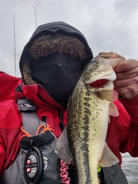 Winter Bass Fishing Gloves - The Kayak Anglers Resource