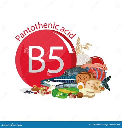 Vitamin B5 Pantothenic Acid Natural Organic Foods With High Vitamin