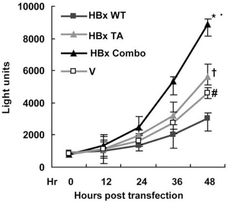 Effect Of Hbx Cp Mutations On Cell Cycle Regulators And Cellular