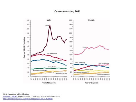 Epidemiologia Dei Tumori Dipartimento Di Medicina Ambientale E Sanit