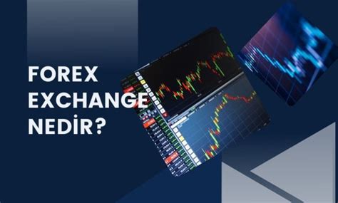 Forex Exchange Nedir Özellikleri Nelerdir 2024